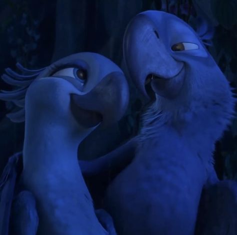 Blue And Jules Rio, Jewel And Blue Rio, Rio Aesthetic Movie, Blue And Jewel Rio, Rio Jewel, Blue Rio, Rio Movie, Jewel Drawing, Rio 2