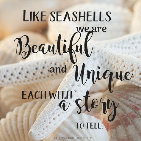 Short Unique Quotes, Beach Bujo, Seashell Quotes, Seashells Quote, Beachy Quotes, Beach Quotes Funny, Sea Quotes, Shell Island, Rock Quotes