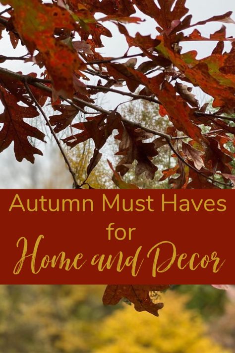 Autumn Must Haves for Home & Decor - Celebrate & Decorate Fall Home Tour 2024, Decorating For Autumn, Trendy Fall Decor, Traditional Fall Decor Ideas, When To Decorate For Fall, Diy Fall Decorations For Inside, Autumn Decor Ideas For The Home, August Decorating Ideas, September Decorating Ideas