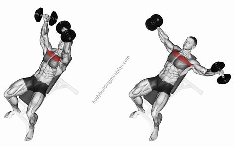 Incline Dumbbell Fly Dumbell Fly, Pectoral Exercises, Resistance Band Back Exercises, Resistance Bands Chest, Hypertrophy Training, Dumbbell Fly, Barbell Row, Best Resistance Bands, Chest Fly