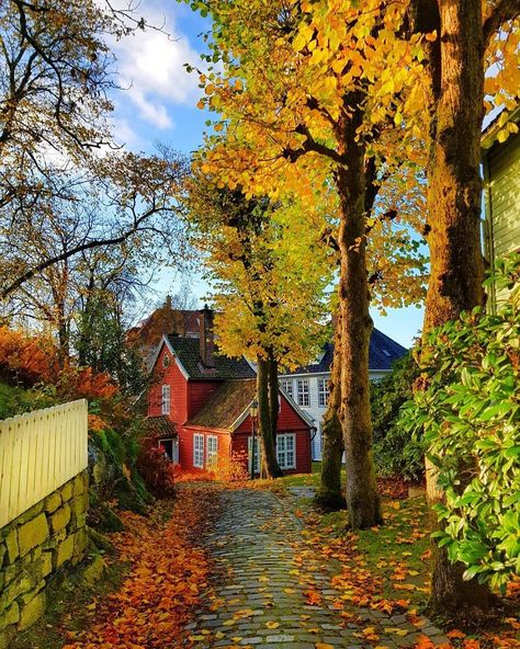 Norway | Norge | Travel on Instagram: “Beautiful autumn colors in Bergen 😍🍂 Photo by @janolebirkelund” Autumn Mood Board, Norway Aesthetic, Dream House Country, Norway House, Aesthetic 2023, October Sky, Aesthetic 2024, New England Fall, Bergen Norway