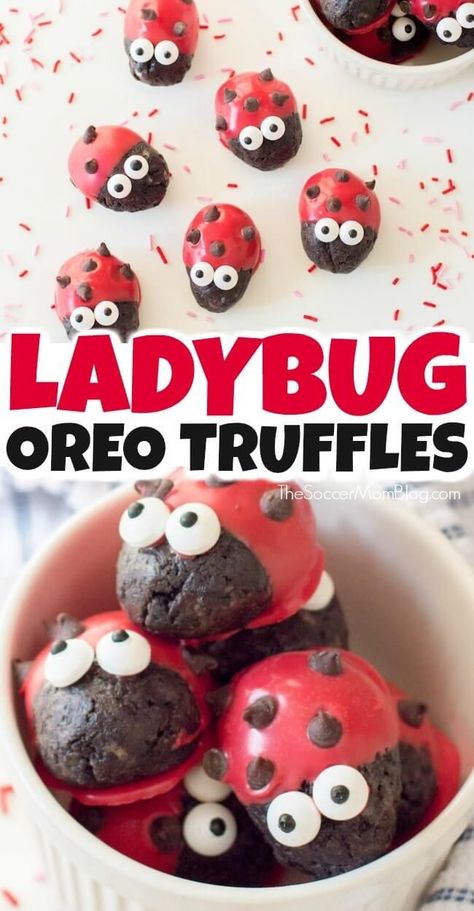 These adorable Ladybug Valentine Truffles are a sweet treat that’s perfect for the love bug in your life! These easy Oreo truffles are fun to make with the kids…and even more fun to eat! The best part – there’s no baking required! Try this easy recipe this Valentine's Day! Valentine Truffles, Easy Oreo Truffles, Recipes Oreo, Truffles Recipes, Valentines Treats, Brownie Truffles, Homemade Truffles, Cookie Balls, Dessert Truffles