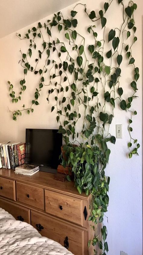 Transform your bedroom into a serene, green oasis with our top 10 awesome indoor bedroom plants! These beautiful and easy-to-care-for plants not only enhance the aesthetic appeal of your space but also improve air quality and promote a restful night's sleep. #IndoorPlants #BedroomDecor #GreenLiving #PlantLovers #HomeInspiration #AirPurifyingPlants #PlantCare #HomeDecor #Houseplants #NatureIndoors #PlantTherapy #BedroomOasis #EasyCarePlants #BotanicalHome #PlantParent Wall Plants Indoor Bedrooms, Behind Sofa Ideas, Wall Behind Sofa Decor Ideas, Wall Decor Ideas With Plants, Indoor Bedroom Plants, Behind Sofa Decor, Green Plants Aesthetic, Bedroom With Plants, Wall Behind Sofa