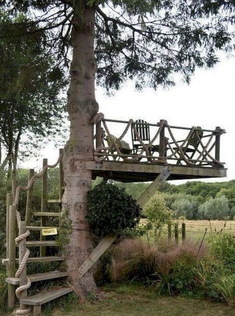 Tree House Diy, Cheap Backyard, House Tree, Cool Tree Houses, Tree House Designs, Backyard Pergola, Backyard Lighting, Backyard Playground, Pergola Patio