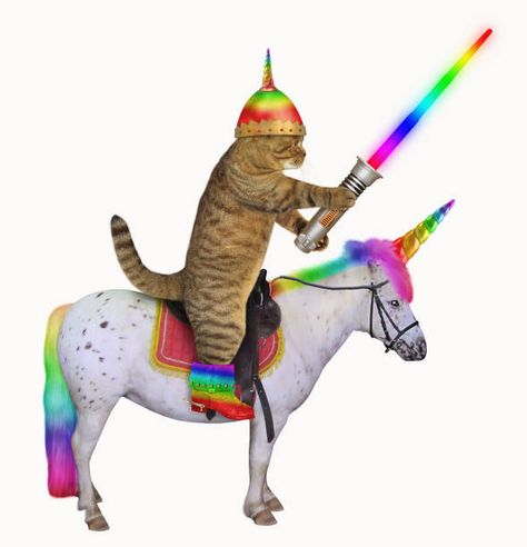 Funny Unicorn Pictures, Unicorn Puns, Unicorn Meme, Unicorn Jokes, Unicorn Memes, Stock Photos Funny, Real Unicorn, Unicorn Pictures, Unicorn Lover