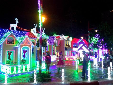 IBEROAMERICAN CHRISTMAS PARK, Santo Domingo, Dominican Republic. Santo Domingo Dominican Republic, Cool Countries, Countries Of The World, Dominican Republic, Cold Weather, Christmas, Travel, Santo Domingo, Santos