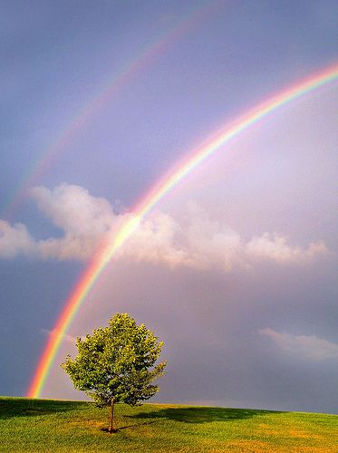 Rainbow Photos, Double Rainbow, Landscape With Rainbow, Rainbow Photography Nature, Rainbow Pics Sky, Rainbow In The Sky Photography, Rainbow In Sky Aesthetic, Rainbow Promise, Rainbow In Sky Nature