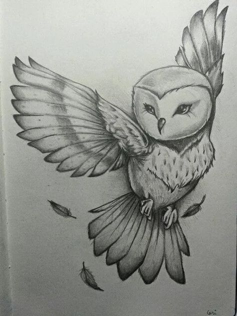 Beautiful Pencil Drawings, Owl Drawing, Cat Tattoos, Owls Drawing, Architectural Drawing, Fan Art Drawing, Pencil Art Drawings, Animal Sketches, Drawing Sketch