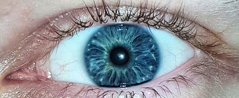 Cornflower Blue Eyes, Beautiful Eyes Color, Color Eyes, Eyes Color, Ocean Eyes, Eyes Blue, Blue Eye, Irises, Eye Art