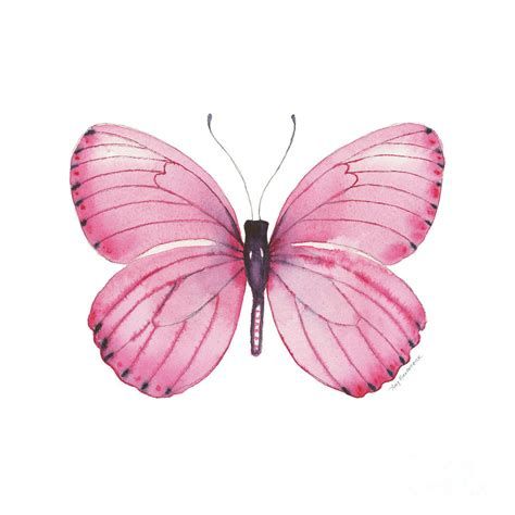 Pink Butterfly, Art Print, Pink, Black, Art