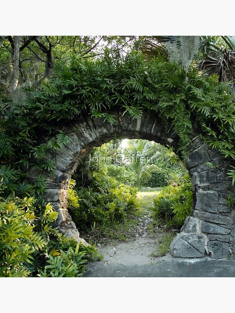 Moon Gates, Landscaping Modern, Kolam Koi, Moon Gate, Garden Modern, Garden Vines, Love Moon, Chinese Garden, Have Inspiration