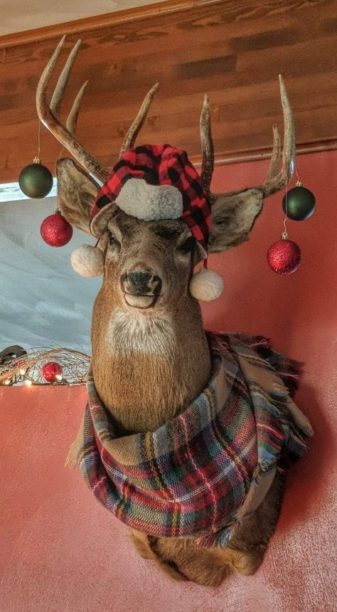 Christmas Decorated Antlers, Frame Around Deer Mount, Antlers In Christmas Tree, Moose Taxidermy Mounts, Antlers Christmas Decor, Decorating With Antlers For Christmas, Christmas Deer Antler Decor, Rustic Deer Christmas Tree, Wreath Around Deer Mount