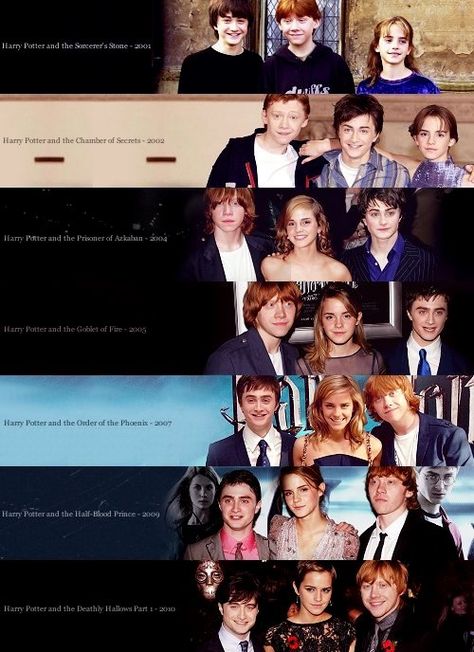 Hogwarts Alumni: Harry Potter Cast Evolution Hogwarts Alumni, Ron Hermione, Buku Harry Potter, The Golden Trio, Images Harry Potter, Harry Potter Film, Harry Potter Cast, Harry Potter Love, After All This Time