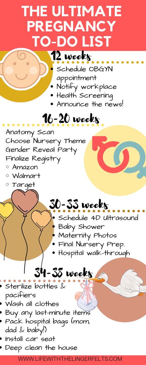 Sofia Grace, Baby Timeline, Pregnancy Snacks, Pregnancy Timeline, First Time Pregnancy, Pregnancy Checklist, Baby Life Hacks, Baby Planning, Baby Advice