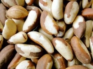 Brazil Nuts and the amazing power of selenium Budwig Diet, Foods For Thyroid Health, Thyroid Recipes, Healthy Nuts, Brazil Nuts, Micro Nutrients, Anti Aging Food, Health Desserts, Best Protein