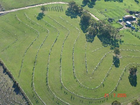 keyline design Geoff Lawton, Permaculture Farm, Water Catchment, Outdoor Designs, Grow Food, Permaculture Design, Rainwater Harvesting, Sustainable Agriculture, Farm Design