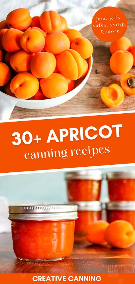 Apricot Salsa Recipes Canning, Apricot Salsa Recipes, Canning Apricots Recipes, Apricot Canning Recipes, Apricot Jam With Pectin, Apricot Jam Recipe With Pectin, Apricot Syrup Recipe, Apricot Filling Recipe, Easy Apricot Jam Recipe