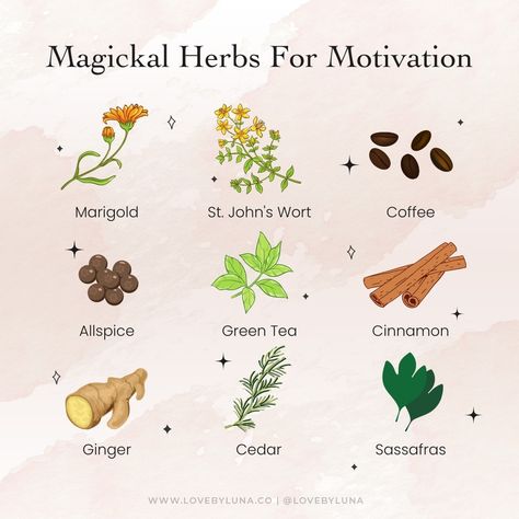 Magick Herbs, Herbs For Creativity, Happiness Herbs, Herbs For Clarity, Aries Herbs, Herb Magic, Love Herbs, Herbs For Aries, Herbs For Motivation