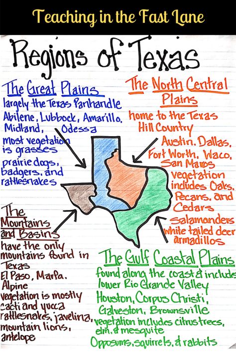 Regions of Texas - Texas History - Teaching in the Fast Lane Texas History Projects, Texas Geography, Texas History 7th, Regions Of Texas, Texas History Classroom, American History Activities, History Funny, History Homeschool, American History Homeschool