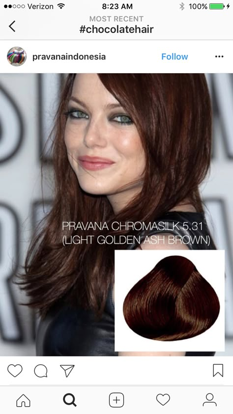 Golden Ash Brown, Chocolate Hair, Ash Brown, Dark Red, Hair Ideas, Easy Hairstyles, Hair Hair, Hair Color, Hair Styles