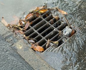 Storm Drain Water Management