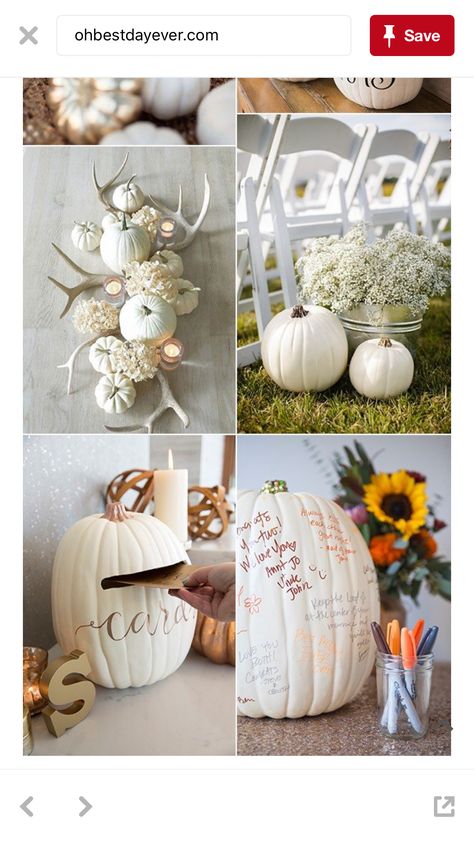 Wedding Guest Table, Themed Wedding Decorations, Pumpkin Wedding, Wedding Themes Fall, Fall Wedding Centerpieces, Fall Wedding Flowers, Fall Wedding Decorations, Trendy Flowers, Pumpkin Theme