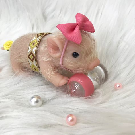 Amazon.com: Idoreborn 5 Inches Mini Full Silicone Piglet Lifelike Animal Pig Doll Miniature Reborn, Soft Cute Piggy Gift for Kids Christmas Birthday Art Doll Collection (White Vicky) : Toys & Games Silicone Piglet, Animales Aesthetic, Ella Jane, Sony Angel, Miniature Pigs, Pig Doll, Cute Piggy, Animals Toys