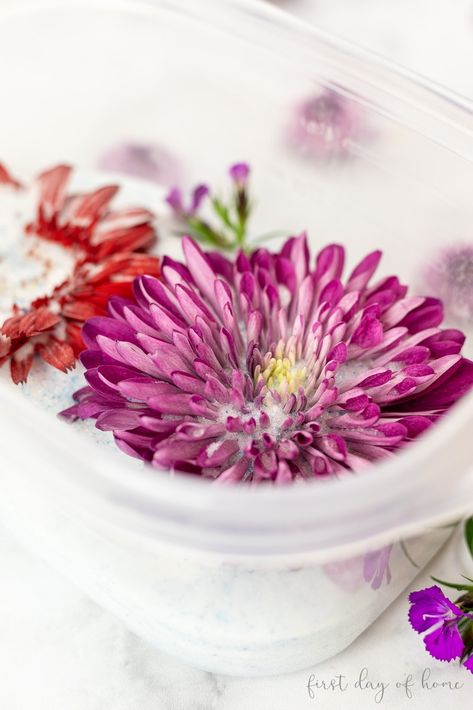 Learn how to use silica gel to dry flowers, and preserve your floral bouquets for many years to come! This technique is amazing for retaining the color of flowers for floral crafts, resin jewelry and more. #driedflorals #dryingflowers #silicagel #firstdayofhome Flower Drying Silica Gel, Silica Gel Flower Preservation, How To Preserve Flowers In Resin, Freeze Dried Flowers, How To Dry Flowers, Remembrance Flowers, Drying Flowers, Floral Crafts, Flower Preservation