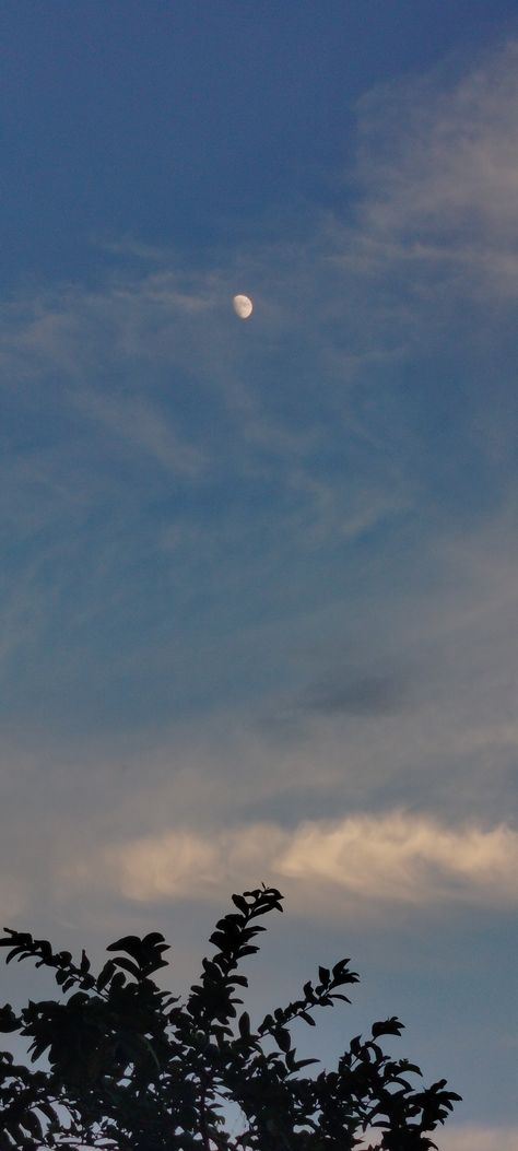 Evening,moon, aesthetic Moon Normal Pic, Daytime Moon Aesthetic, Moon In Evening Sky, Moon Real Picture, Evening Moon Aesthetic, Moon Asthetics Photos, Moon Aesthetic Pics, Real Moon Pictures, Aesthetic Moon Pics