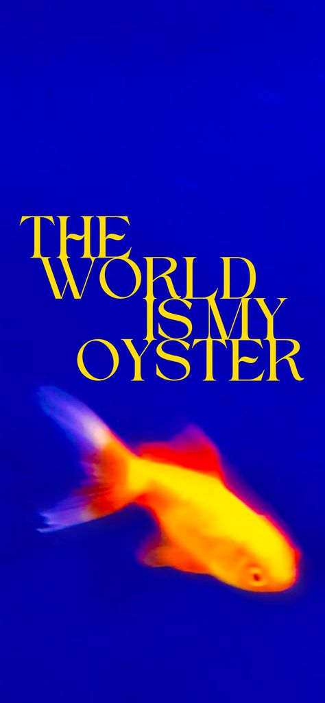 Oyster Wallpaper, The World Is My Oyster, Wallpapers, Collage, The World, Pins, Quick Saves