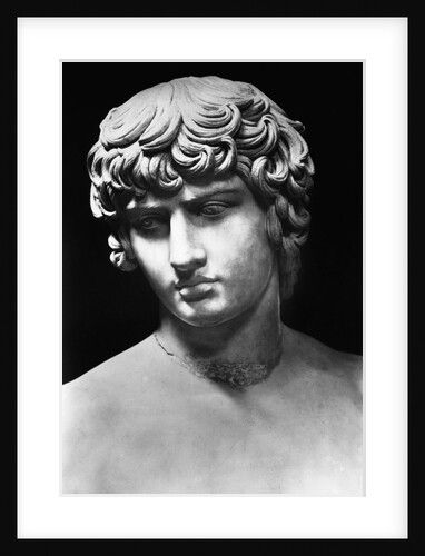 Values Study, Yard Statues, Roman Bust, Roman Busts, Ancient Greek Sculpture, Roman Statue, Greek Statues, Roman Sculpture, Roman History