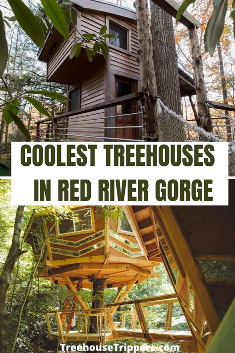 Places To Visit In Kentucky, Day Trips In Ohio, Kentucky Camping, Things To Do In Kentucky, Treehouse Vacations, Red River Gorge Kentucky, Treehouse Rentals, Kentucky Attractions, Kentucky Vacation