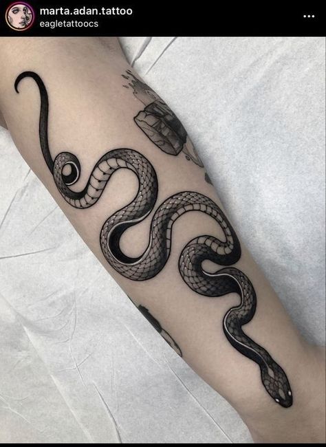 3 Headed Snake Tattoo, 2 Headed Snake Tattoo, 2 Snakes Tattoo, Double Headed Snake Tattoo, Double Snake Tattoo, American Traditional Snake Tattoo, 2 Headed Snake, Serpent Tattoos, Two Headed Snake Tattoo