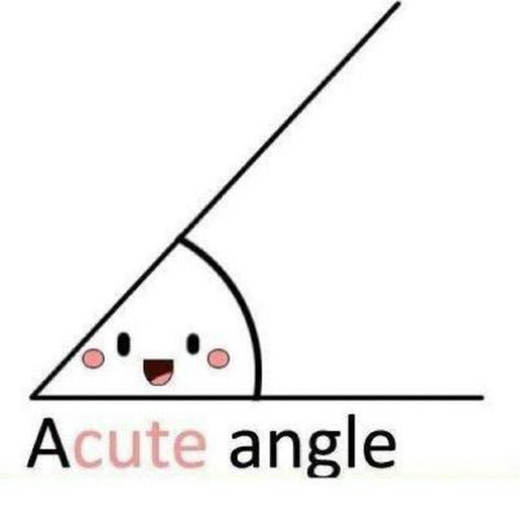 Acute angle Terrible Puns, Math Puns, Charmmy Kitty, Math Jokes, Math Humor, Clean Humor, Nerd Alert, Funny Puns, Teaching Math