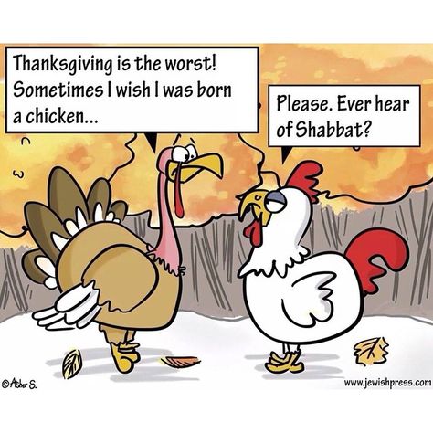 Turkey to chicken Good Shabbos, Jewish Quotes, Thanksgiving Cartoon, Shabbat Dinner, Thanksgiving Prayer, Jewish Humor, Thanksgiving Inspiration, Jewish Culture, Humor Quotes