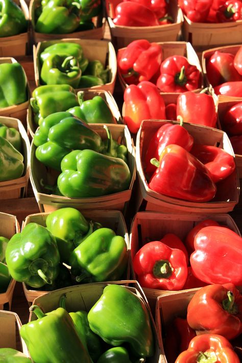 Peppers Aesthetic, Hannah Makeup, Pepper Aesthetic, Italian Restaurant Logos, Restaurant Logos, Green Bell Pepper, John B, Makeup Board, Green Bell Peppers