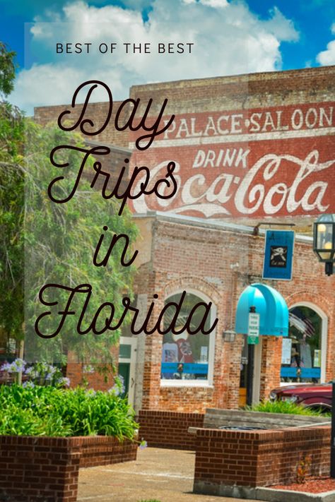 Florida Day Trips, Best Places To Live In Florida, Must See Places In Florida, Day Trips Florida, Best Place To Live In Florida, Florida Day Trips With Kids, Florida Vacation Spots, Florida Travel Destinations, Florida Travel Guide