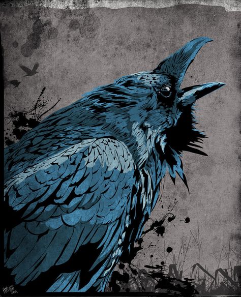 Raven+by+heathdro.deviantart.com+on+@DeviantArt Raven Artwork, Blue Raven, Quoth The Raven, Dark Wings, Raven Tattoo, Crow Art, Jackdaw, Raven Art, Crows Ravens