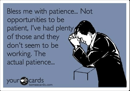 Bless me with patience... Not opportunities to be patient, I've had plenty of those and they don't seem to be working. The actual patience... Patience Humor, Funny Ecards, It's Funny, Clipuri Video, Memes Humor, E Card, Ecards Funny, Someecards, Look At You