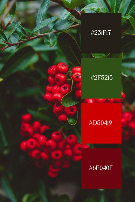 Red And Green Combination, Dark Green Colour, Nature Pallet, Red And Green Color Scheme, Green Color Combination, Dark Color Combinations, Red And Green Palette, Red Green Color Palette, Red Green Aesthetic