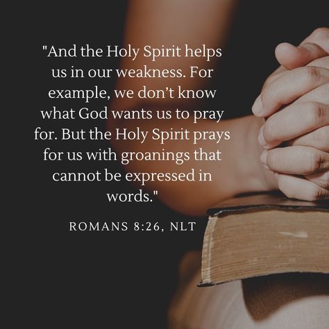 "And the Father who knows all hearts knows what the Spirit is saying, for the Spirit pleads for us believers* in harmony with God’s own will." Romans 8:27, NLT  #HolySpirit #NewLivingTranslation #NLTBible #Bibleverse #Bibleverses #Biblestory #Biblestories #Bibleversesdaily #Bibleversedaily #Biblequote365 #Biblewords #Bibledaily #Bibleverseoftheday #BibleScriptures #Bibleinspiration #Christianinspiration #Biblesays #dailyBible  ⁠ Romans 8 39, Romans 8 26, The Lord Is Good, Christian Love, Biblical Verses, Romans 8, Jesus Bible, Daily Scripture, Long Acrylic