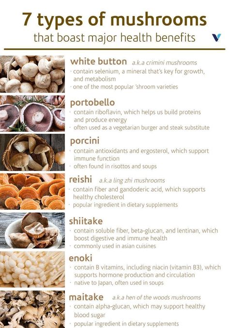 Health Benefits Of Mushrooms, Mushroom Varieties, Mushroom Benefits, Health Cleanse, Vegetarian Burger, Health Routine, Herbal Healing, Herbs For Health, Immune Health