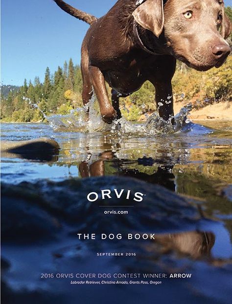 It's that time again to announce our Orvis Cover Dog Contest winners who will appear on our 2016 fall and holiday Dog Books. . . . Dog Contest, Holiday Dog, 2016 Fall, Dog Books, Contest Winner, Dog Holiday, Fall 2016, Dogs, Books