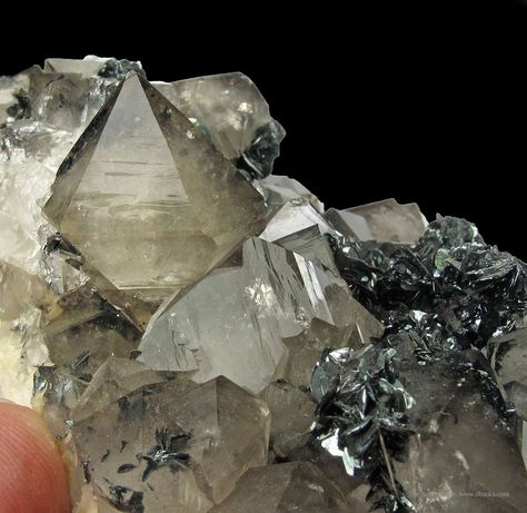 Very glassy lustrous Smoky Beta Quartz crystals 2 cm dominate choice Beta Quartz, Cumbria England, Quartz Mineral, Old Plates, Hematite Crystal, Fine Minerals, Iron Age, Mineral Stone, Quartz Crystals