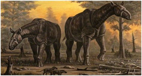 When Giants Roamed the Earth – 8 Prehistoric Mega Mammals Prehistoric Wildlife, Prehistoric World, Ancient Animals, Prehistoric Art, Paleo Art, Big Animals, Extinct Animals, Prehistoric Creatures, Prehistoric Animals