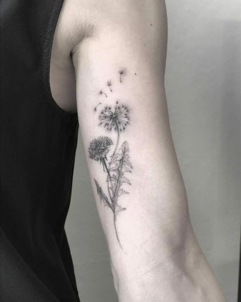 Dandelion Tattoo On Leg, Dandelion Life Cycle Tattoo, Dandelion Tattoo Men, Dandelion Drawing Tattoo, Shy Tattoo, Dandelion Tattoo Ideas, Watercolor Dandelion Tattoo, Dandelion Tattoo Meaning, Dandelion Tattoos