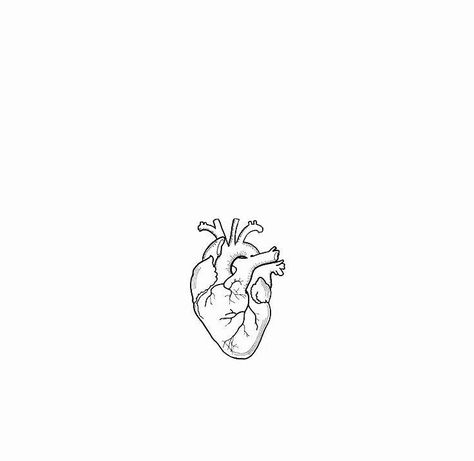 Anatomical Heart Line Tattoo, Brain Heart Tattoo Minimal, Fine Line Anatomical Heart Tattoo, Atomically Heart Tattoo, Small Heart Drawing, Anatomical Heart Outline, Human Heart Tattoo, Ekg Tattoo, Musician Tattoo