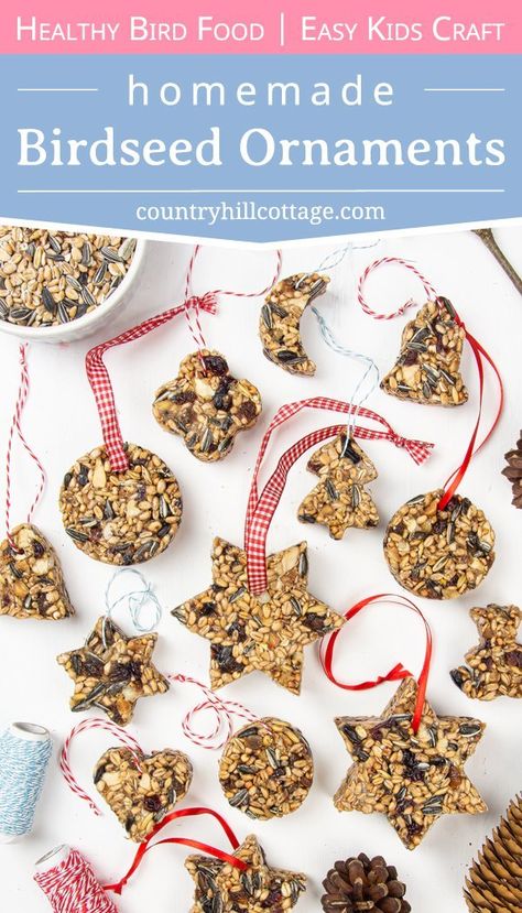 Home Made Bird Food Recipes, Bird Feeders Ornaments, Christmas Bird Seed Ornaments, Christmas Bird Feeders Diy, Bird Seed Christmas Gift, Homemade Bird Seed Ornaments, Making Bird Feeders With Kids, How To Make Bird Seed Ornaments, Bird Feeder Ornaments Diy