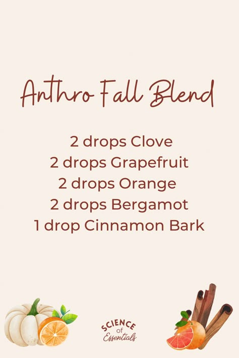 Fall Diffuser Blends, Thanksgiving diffuser blend, essential oil blend, Anthro diffuser blend, Fall Anthro diffuser blend Fall Essential Oil Blends With Cinnamon, Clean Fall Essential Oil Blends, Fall Essential Oil Roller Blends, Fall Evening Diffuser Blend, Yl Fall Diffuser Blends, Fall Air Diffuser Blend, Fall Eo Diffuser Blends, Fall Essential Oil Blends Doterra, White Pumpkin Diffuser Blend