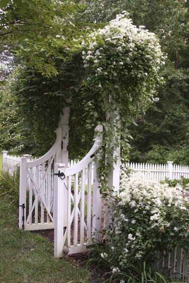 Ok, on a scale of 1-10, how much do you wish this pretty little front porch was yours? Twelve, right? It's not that the space is big and bright, or that the home exterior is so pretty -the front door looks a little outdated- but that's not why you want it. You want it because of that breathtaking violet clematis growing all over it. Put everything aside and get ready for a huge pick-me-up, because we're about to show you 8 incredible climbing clematis vines that will restore you to… White Garden Fence, Classic Garden Design, Tor Design, Garden Gate Design, Garden Vines, White Picket Fence, Classic Garden, Fence Landscaping, Have Inspiration